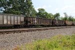 NS 10016 and NS 10052